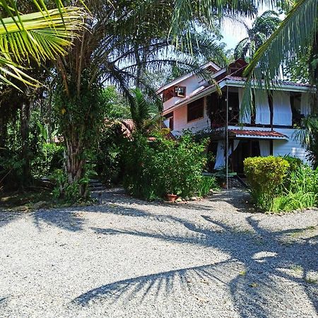 Apartamento El Chilamate Puerto Viejo de Talamanca Exterior foto