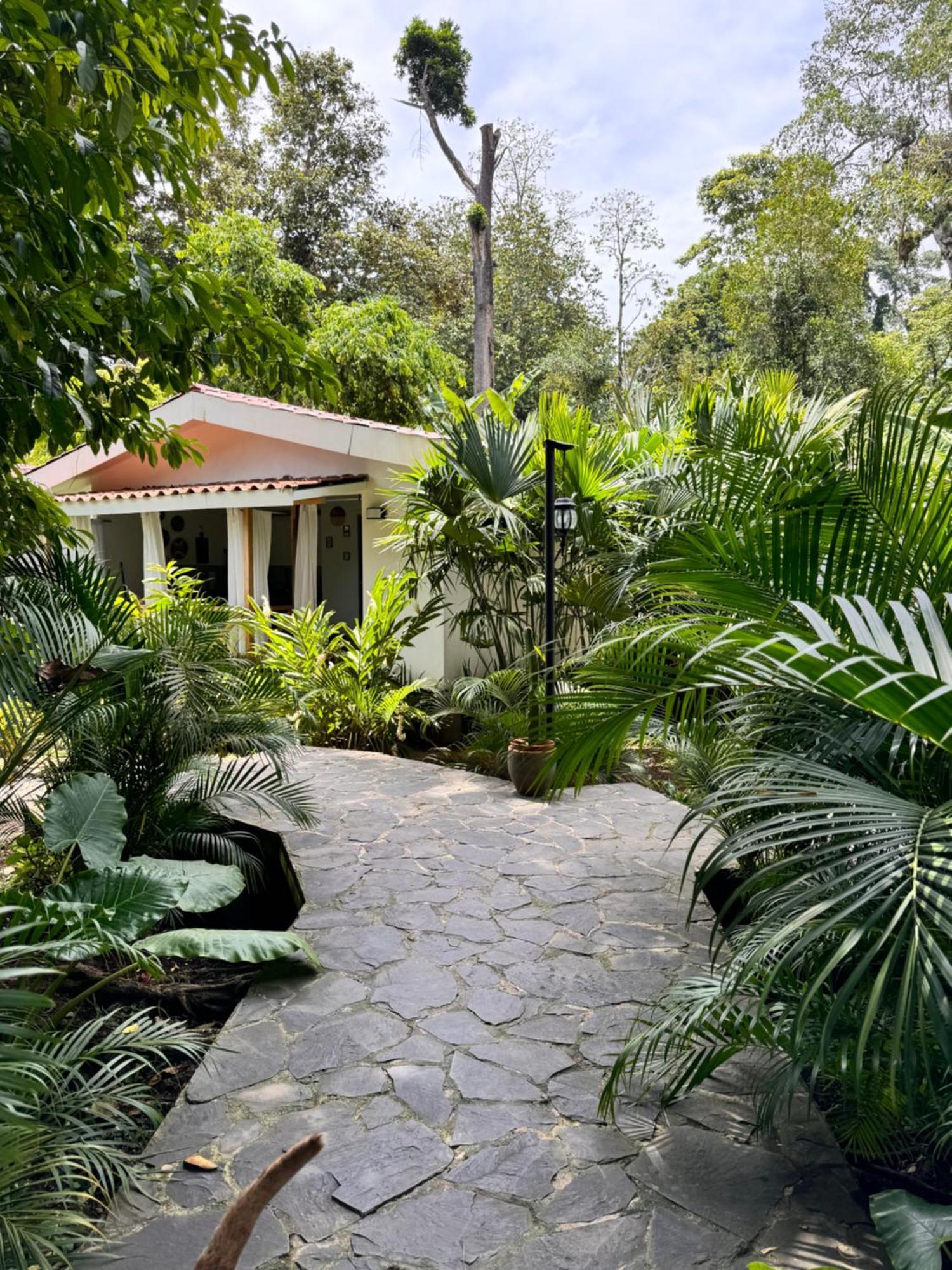 El Chilamate Puerto Viejo de Talamanca Exterior foto