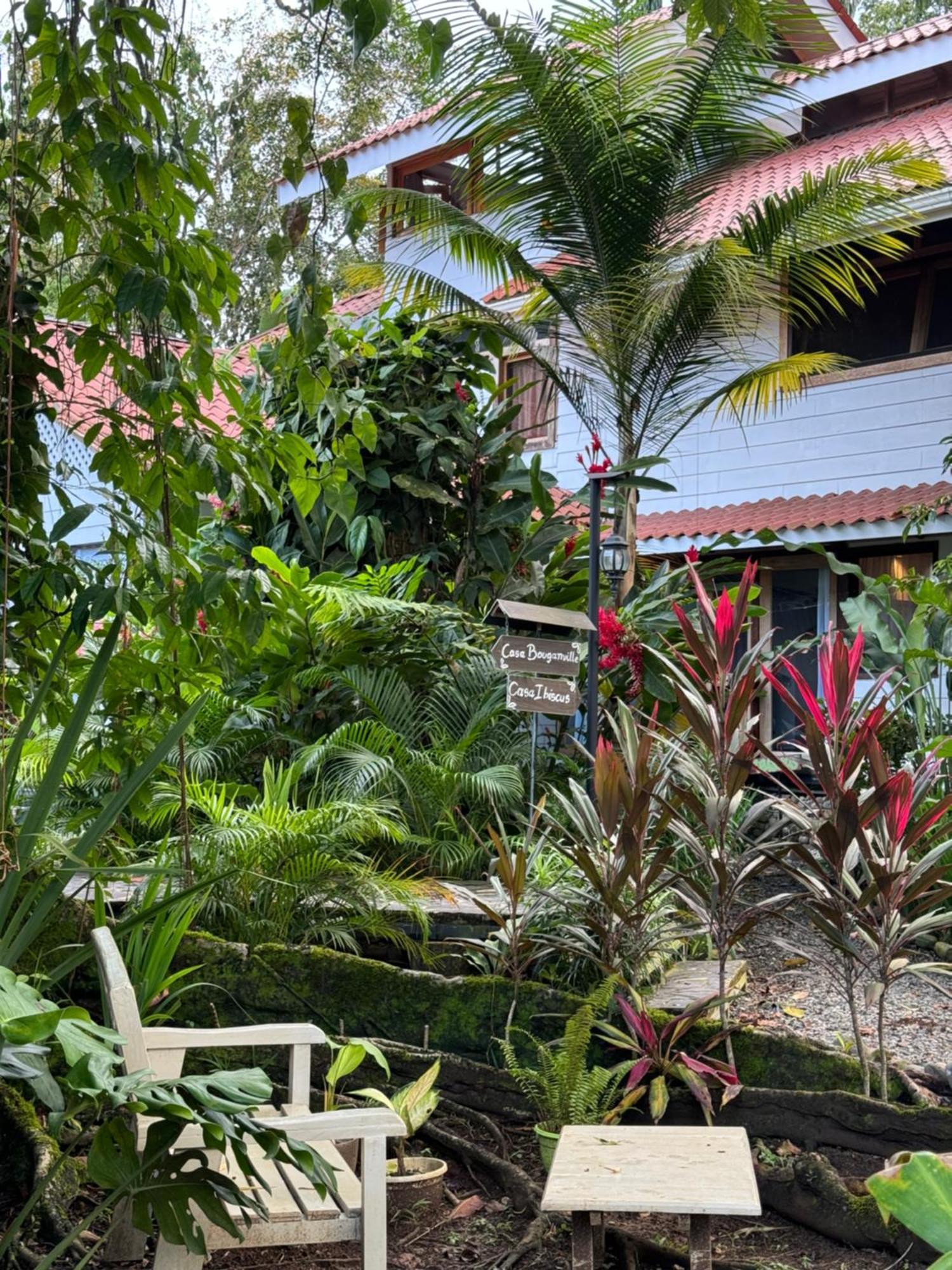 El Chilamate Puerto Viejo de Talamanca Exterior foto