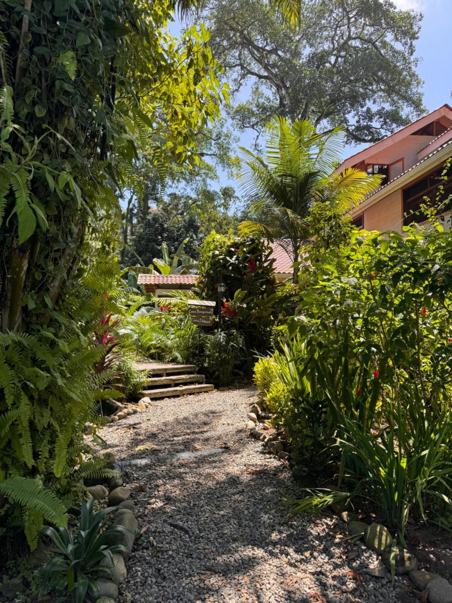 El Chilamate Puerto Viejo de Talamanca Exterior foto